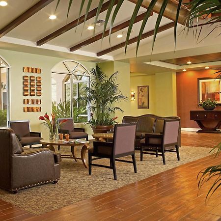 Palm Beach Shores Resort And Vacation Villas Dalaman gambar
